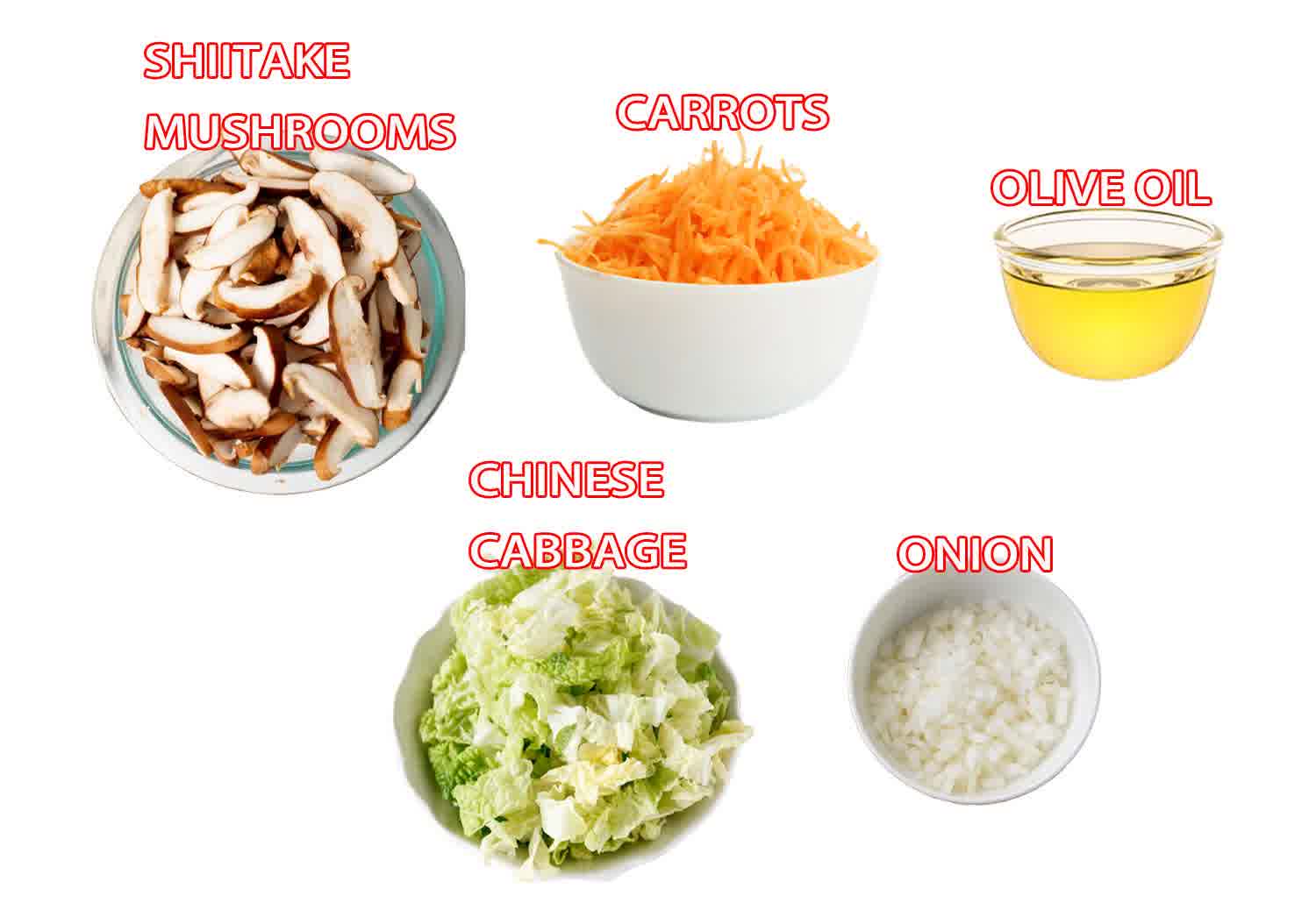 ingredients needed to make chicken lo mein.